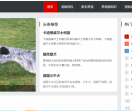 宠物网