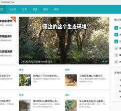 茶叶网