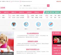 出售大型宠物平台网站