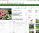苗木新闻,苗木资讯