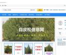白皮松信息网