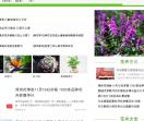 养花访求,花卉资讯,