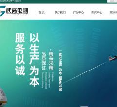 武汉武高电测电气