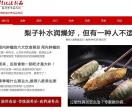 滋补品