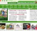 八路创业网