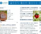 小楚网
