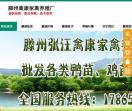 鹅苗批发