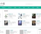 悠悠小说网