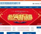 深圳市凯丰辉国际物流