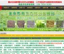 油桐苗木网