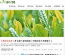 17茶叶网