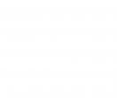 财经新闻网