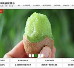 徐香猕猴桃价格