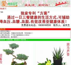 爱时尚园艺