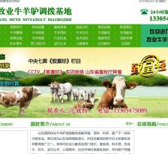 山东国防牧业牛羊驴调拨基地