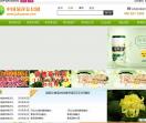 中国菊花信息网