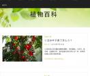 植物百科