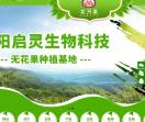 启灵生物