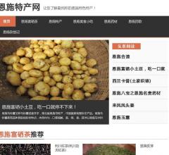 恩施特产网