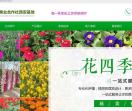 花卉公司网站