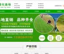 常州草坪绿化基地