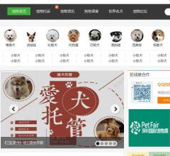 深圳狗狗—深圳宠物网