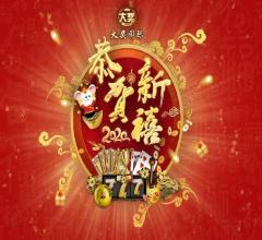 高个女装品牌网