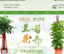 兰若花卉