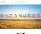 金亚洲官网