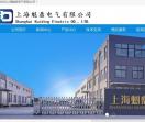 上海魁鼎电气有限公司