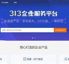 313企业服务平台