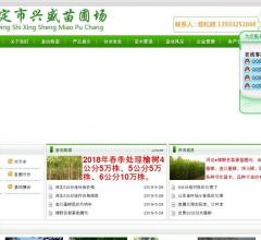 博野县君豪苗圃场