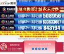 高级会计师