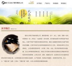 福州文泽电子商务