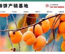 柿饼产销基地