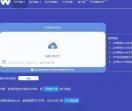 W大师