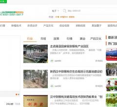 太原装饰 满堂红装饰