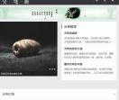 九眼天珠价格