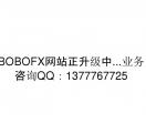 BOBOFX外汇网