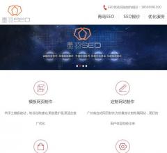 青岛SEO_网站建设