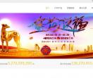 网防cdn