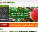 云南果树苗