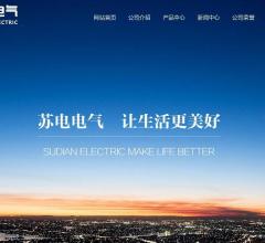 苏电电力